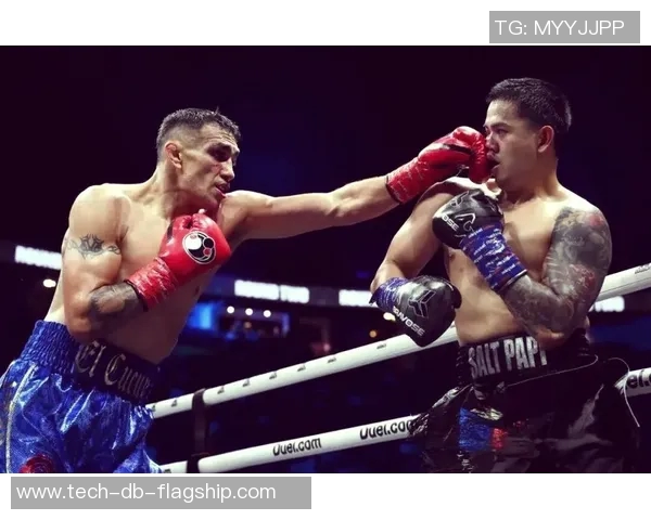 UFC凯恩与桑托斯激战在即谁将成为新一代拳坛霸主 UFC凯恩与桑托斯激战在即谁将成为新一代拳坛霸主